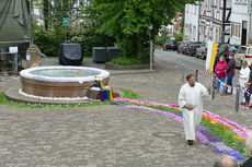 Bluemteppich auf dem Naumburegr Marktplatz (Foto: Karl-Franz Thiede)